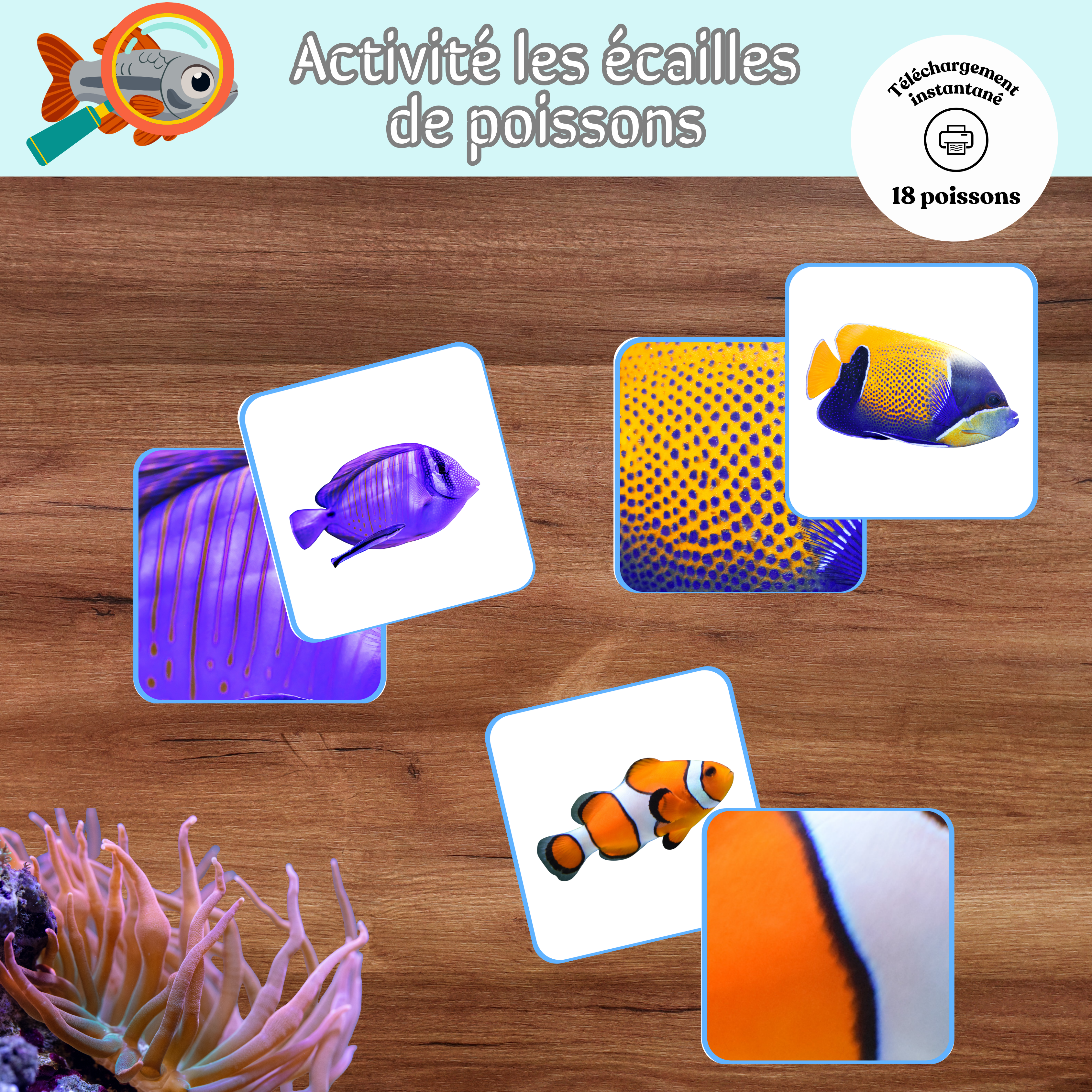 Activité les écailles de poissons