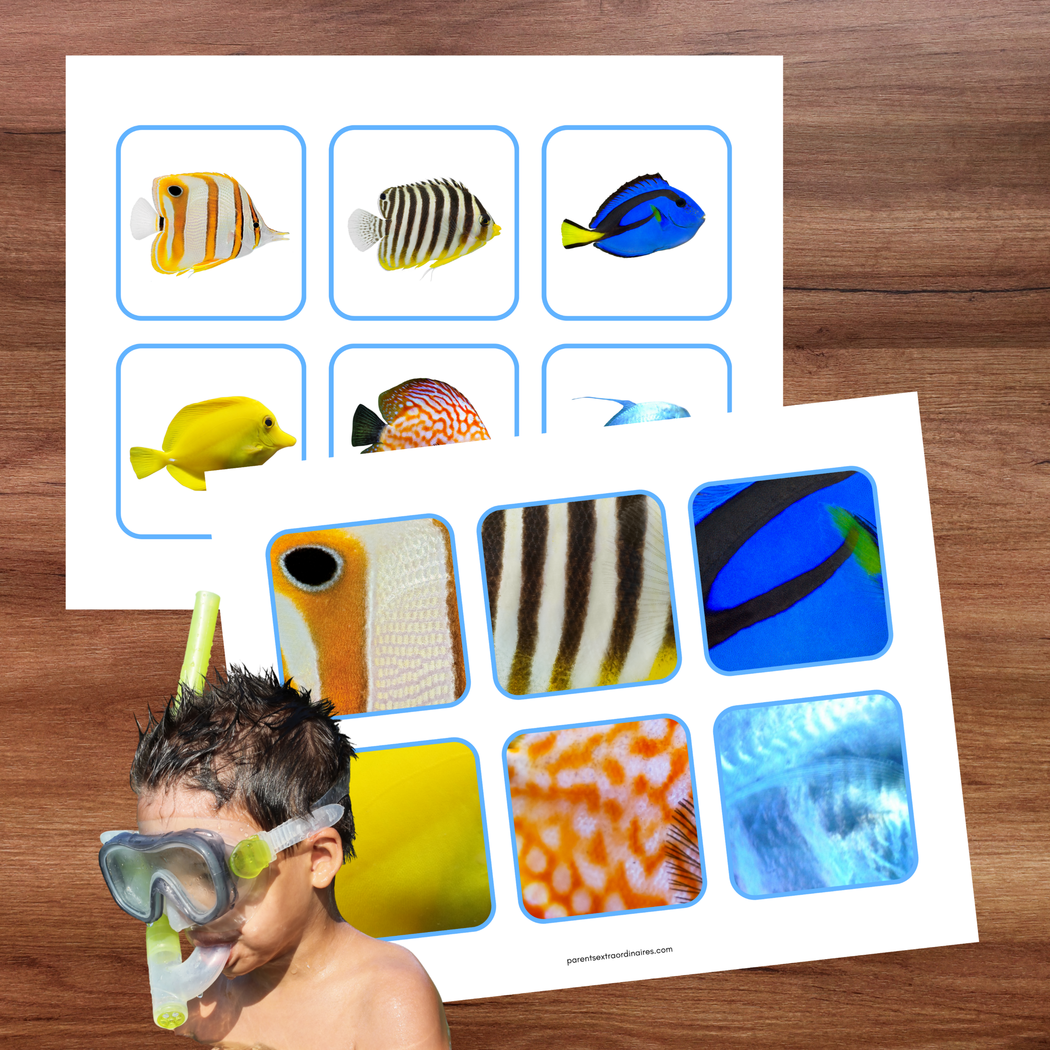 Activité les écailles de poissons