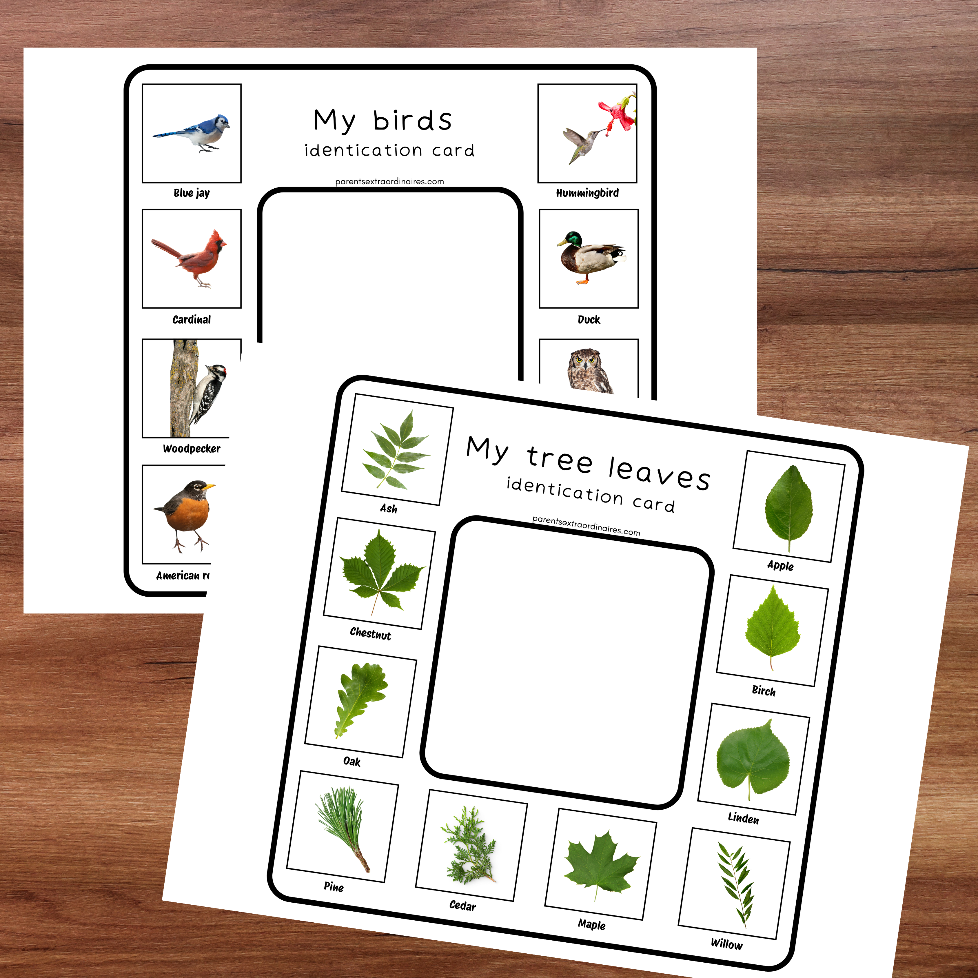 Cartes d'identification de la nature