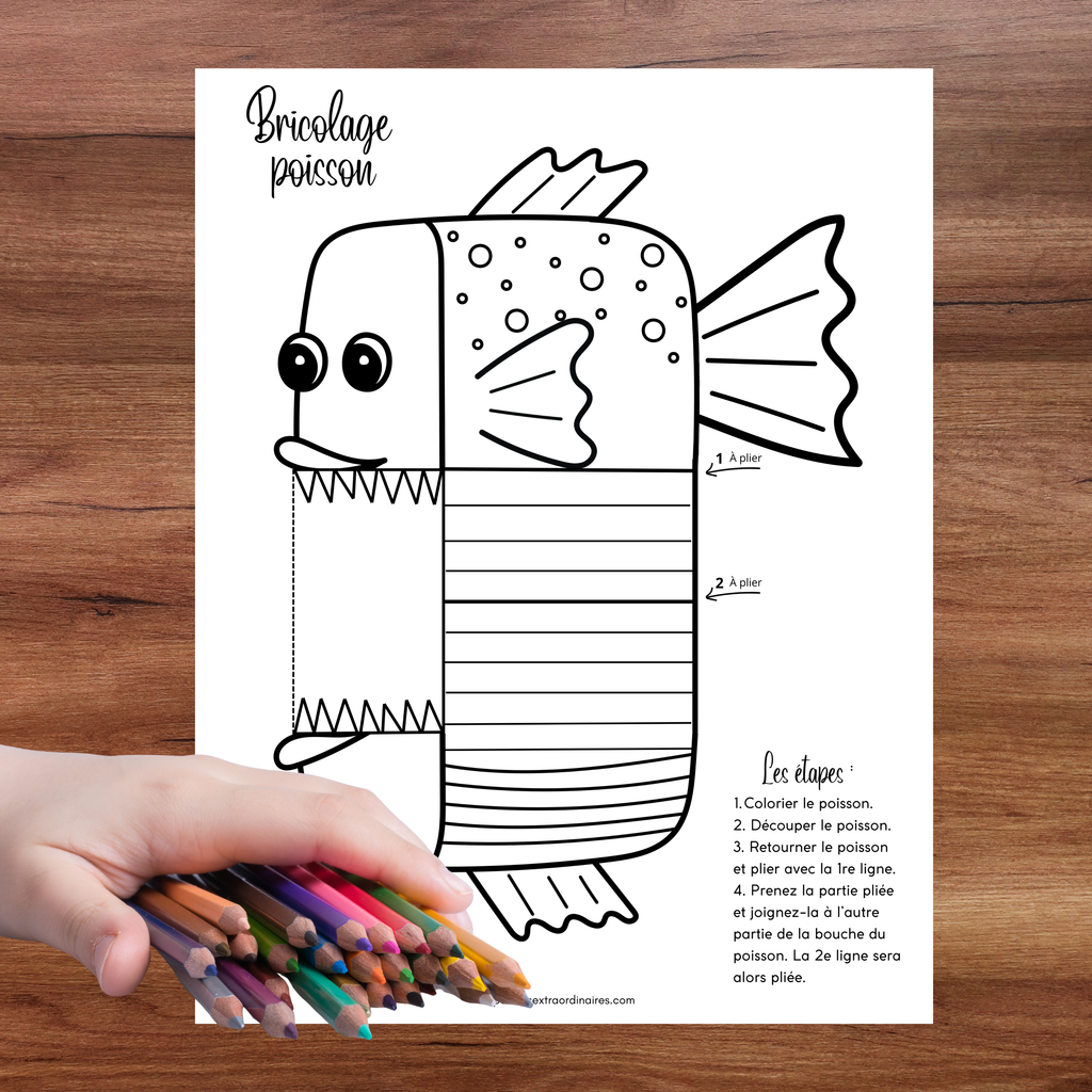 Bricolage poisson