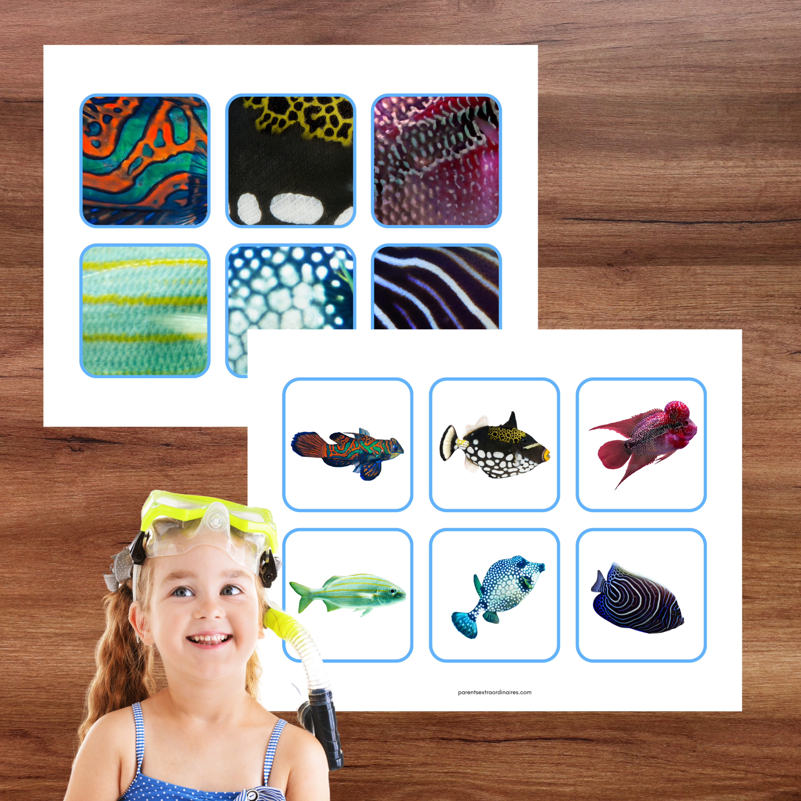Ensemble d'activités thème poissons