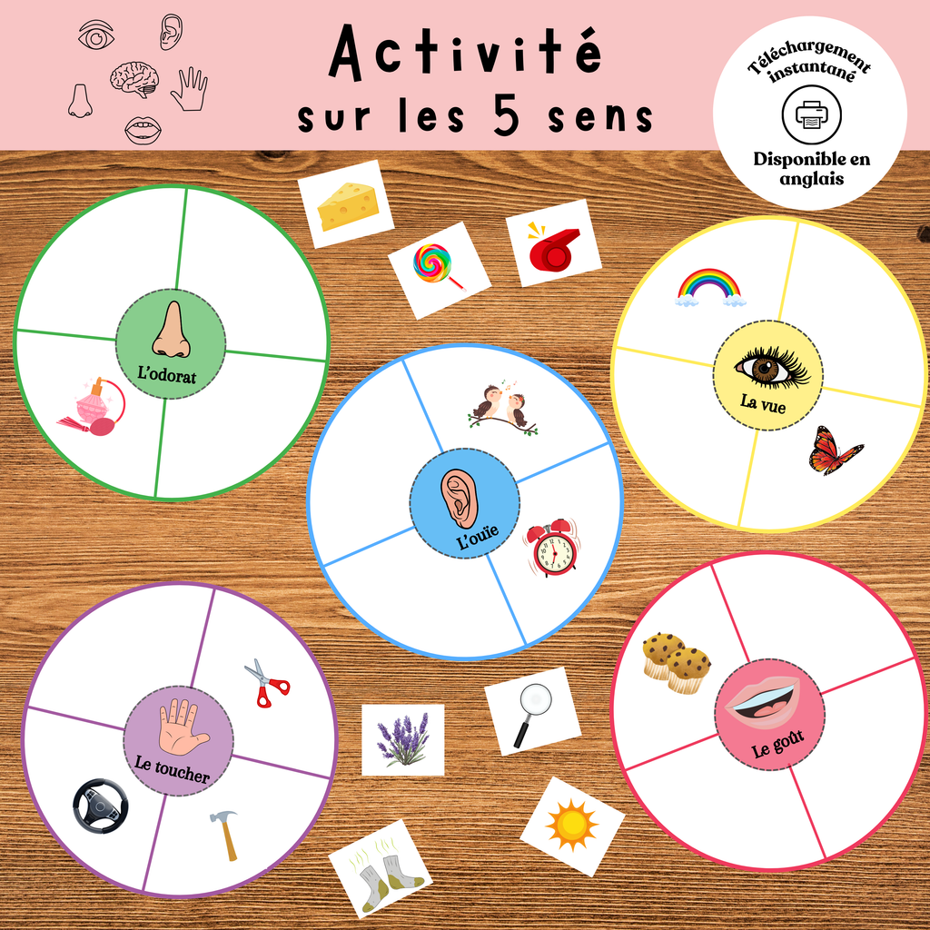 Activité les 5 sens