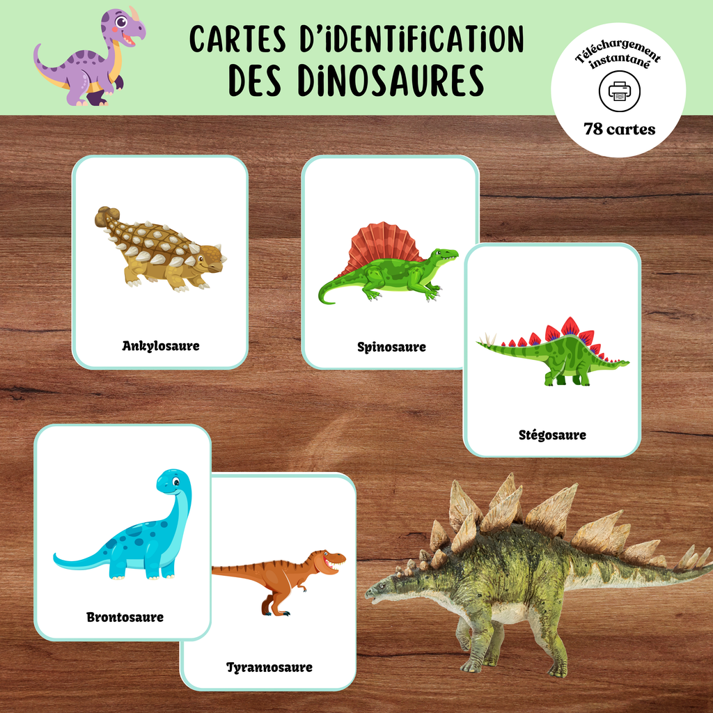 Cartes d'identification dinosaures