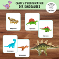 Cartes d'identification dinosaures
