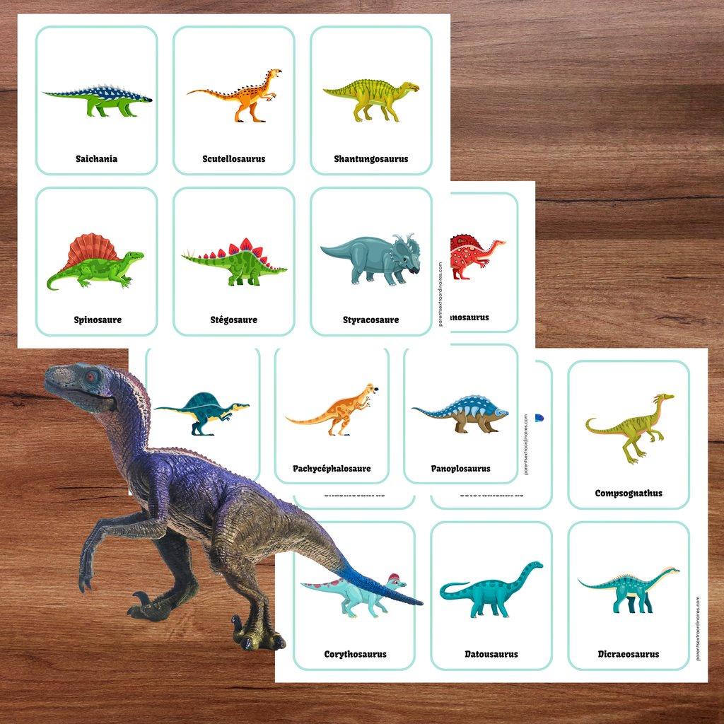 Cartes d'identification dinosaures