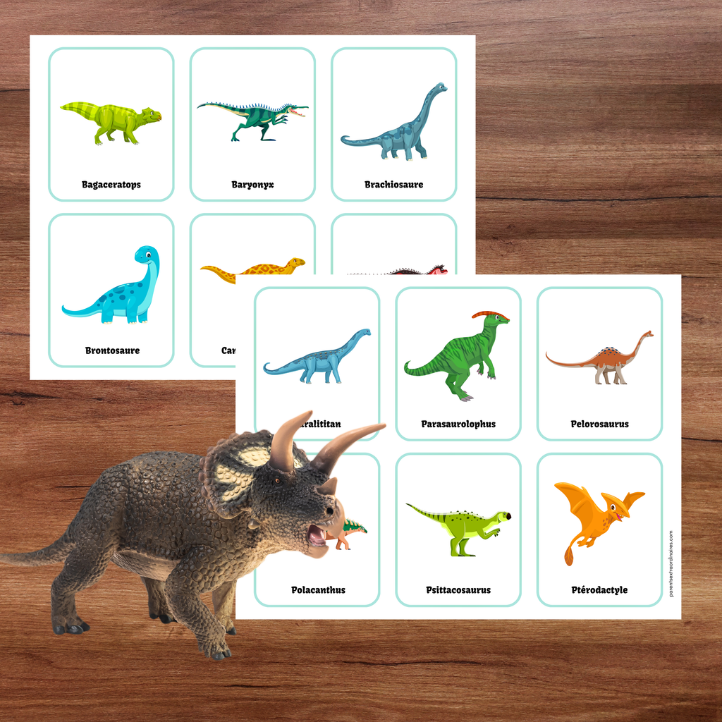 Cartes d'identification dinosaures