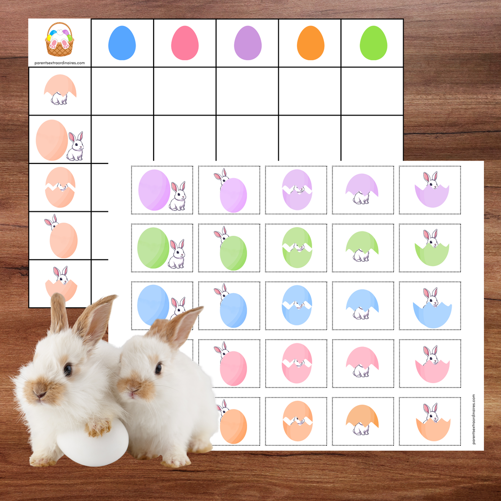 Activités la matrice du lapin
