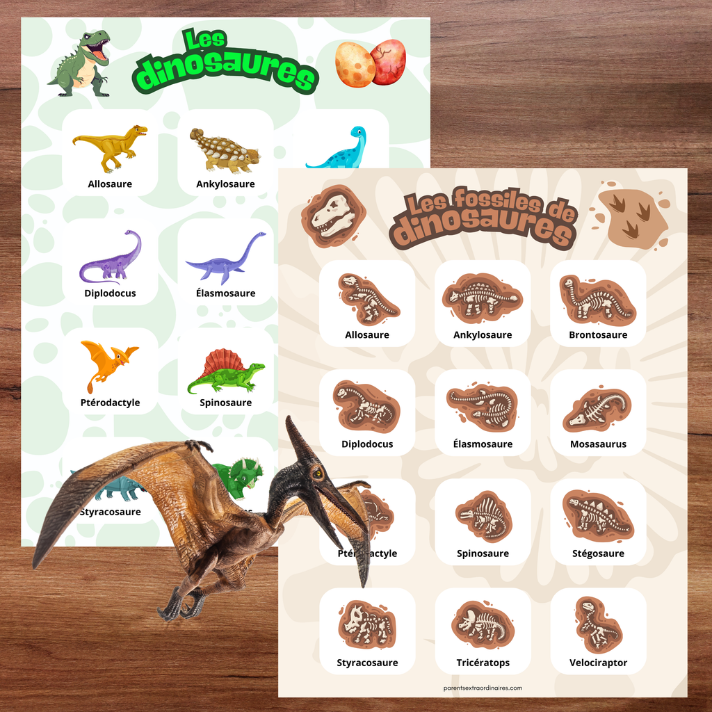 Ensemble à la découverte des dinosaures