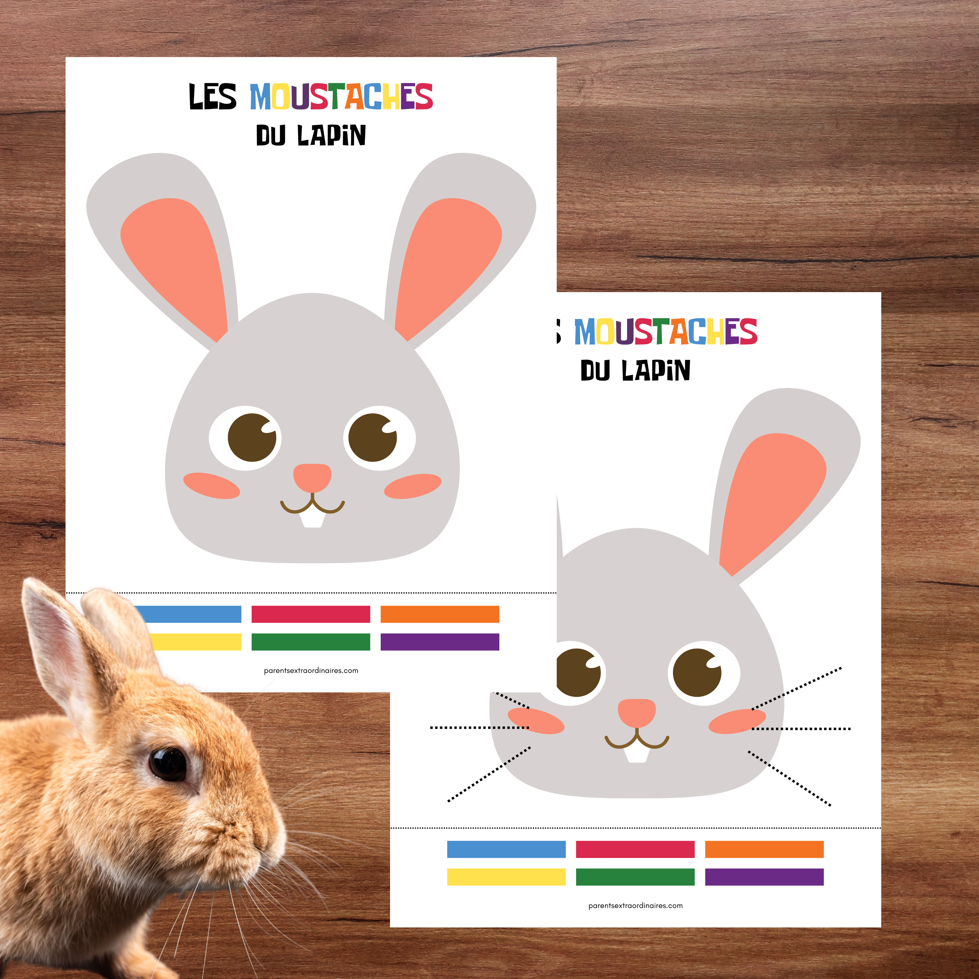 Ensemble d'activités thème lapin de Pâques
