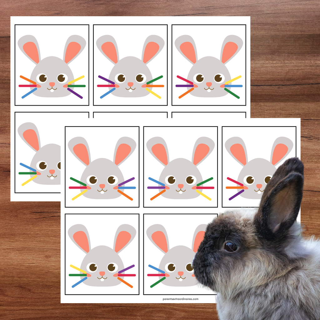 Activité les moustaches du lapin
