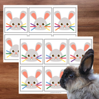 Activité les moustaches du lapin