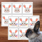 Ensemble d'activités thème lapin de Pâques