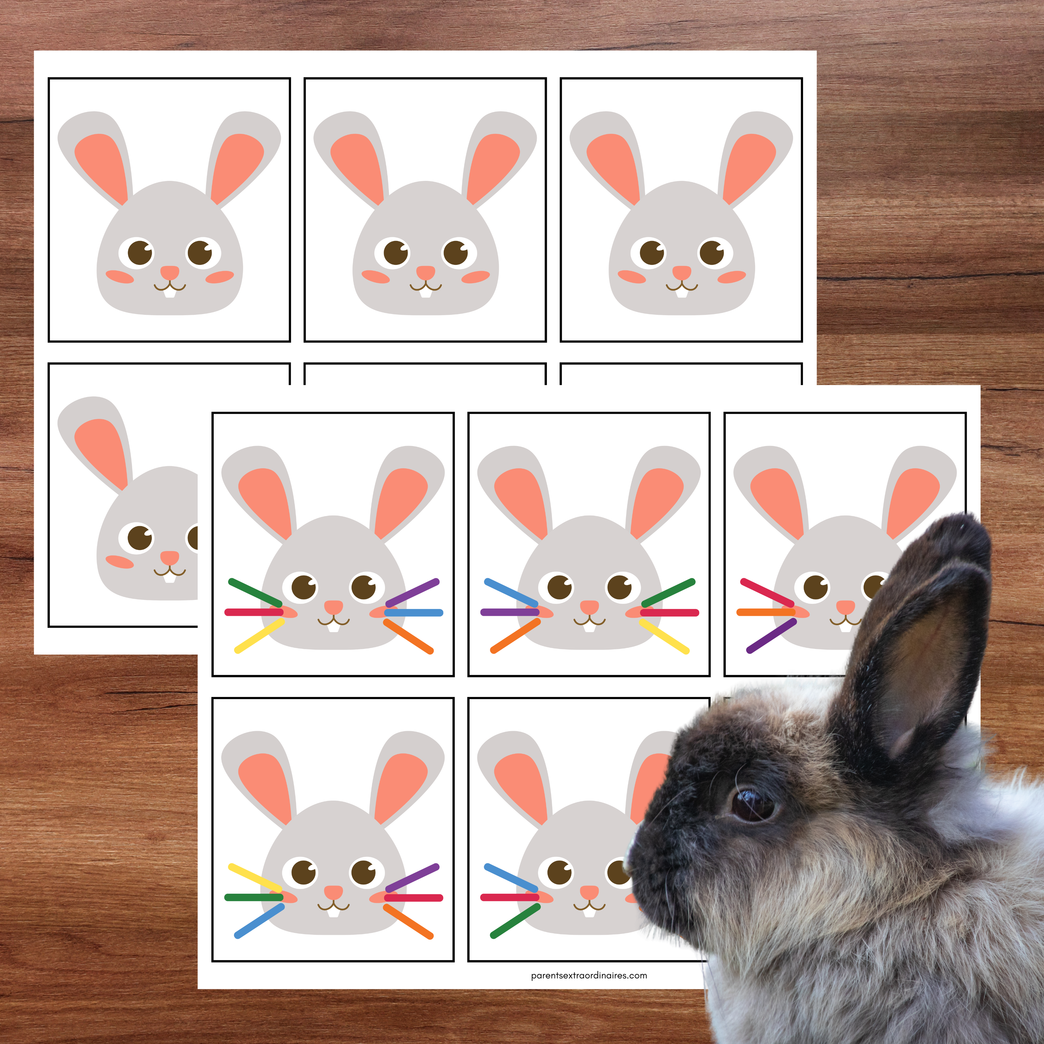 Ensemble d'activités thème lapin de Pâques