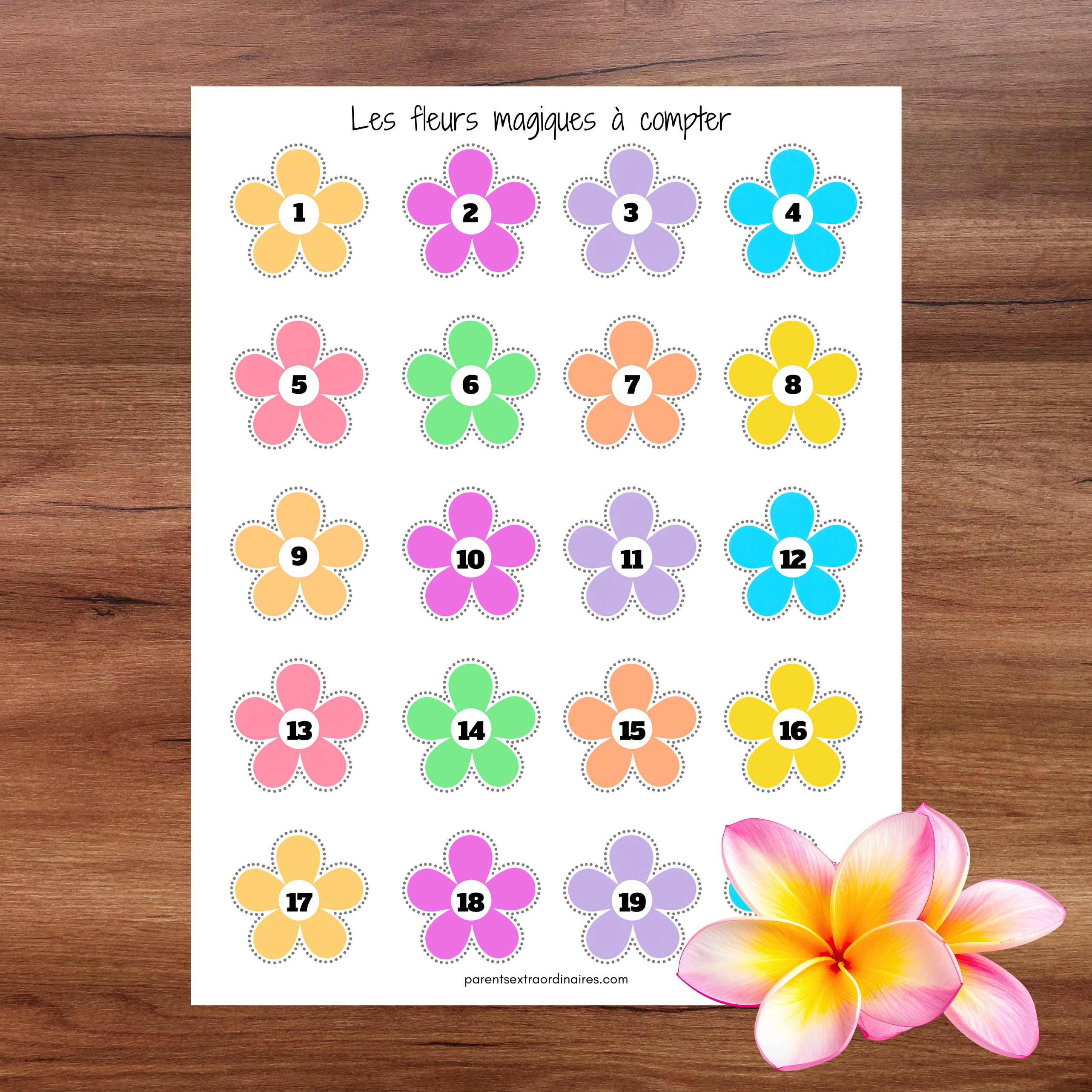 Les fleurs magiques à compter