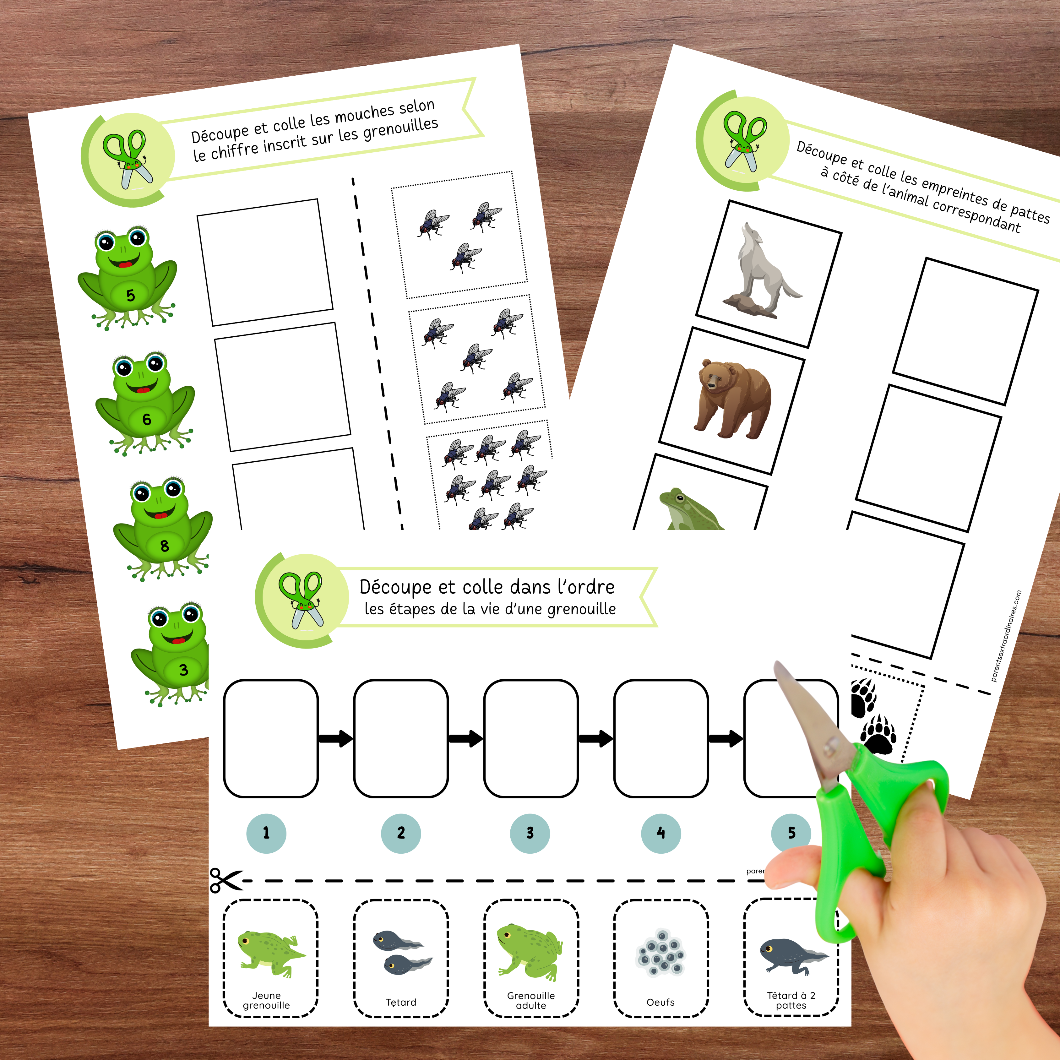 Cahier de découpage imprimable sur le thème de la nature comprenant 50 activités progressives pour apprendre à utiliser les ciseaux. Les enfants pratiquent le découpage de lignes droites, courbes, ondulées et en zigzag tout en découvrant des illustrations inspirées du monde naturel.