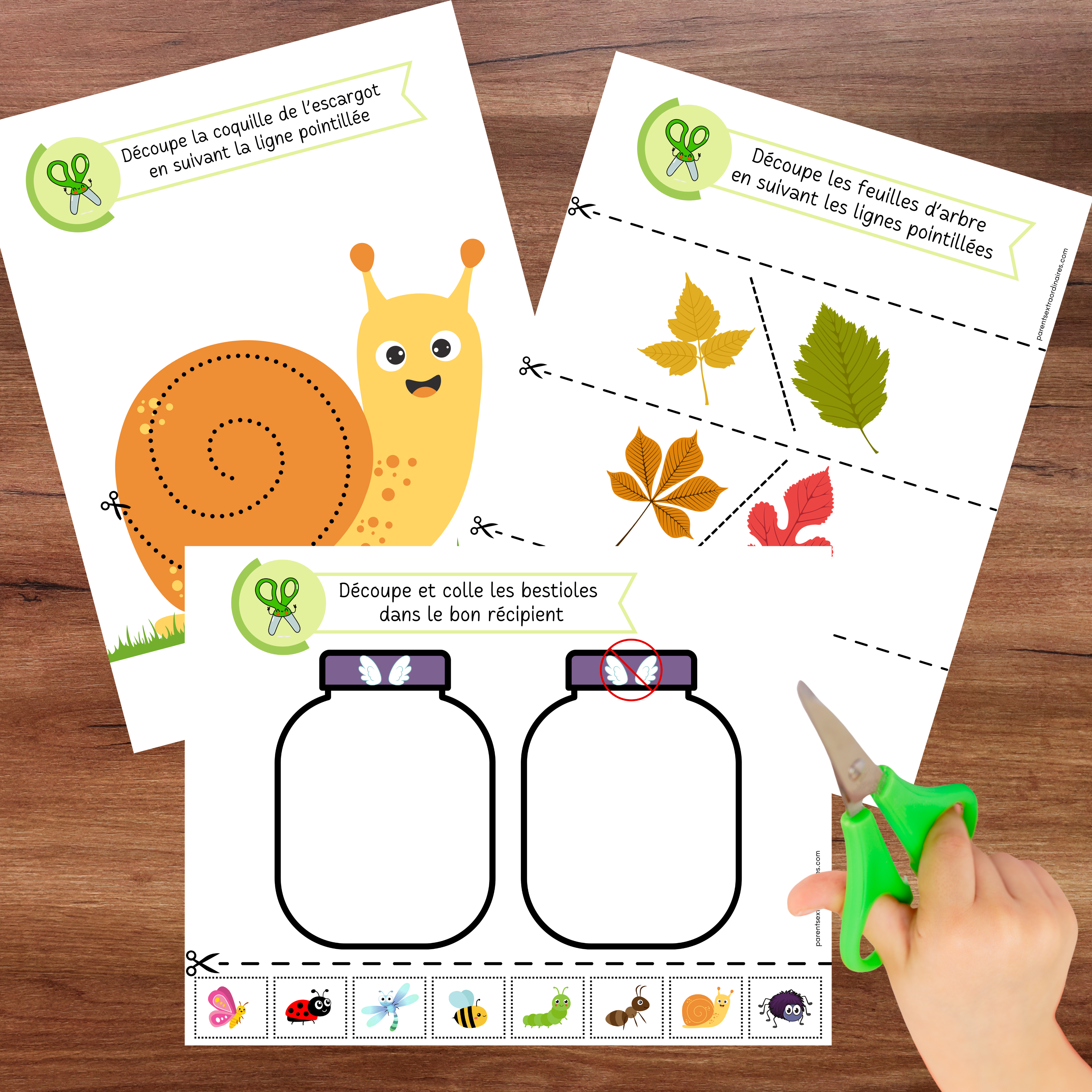 Cahier de découpage thème nature avec 50 activités progressives pour apprendre à utiliser les ciseaux. Une ressource éducative idéale pour développer la motricité fine, la coordination et la précision dès le préscolaire.