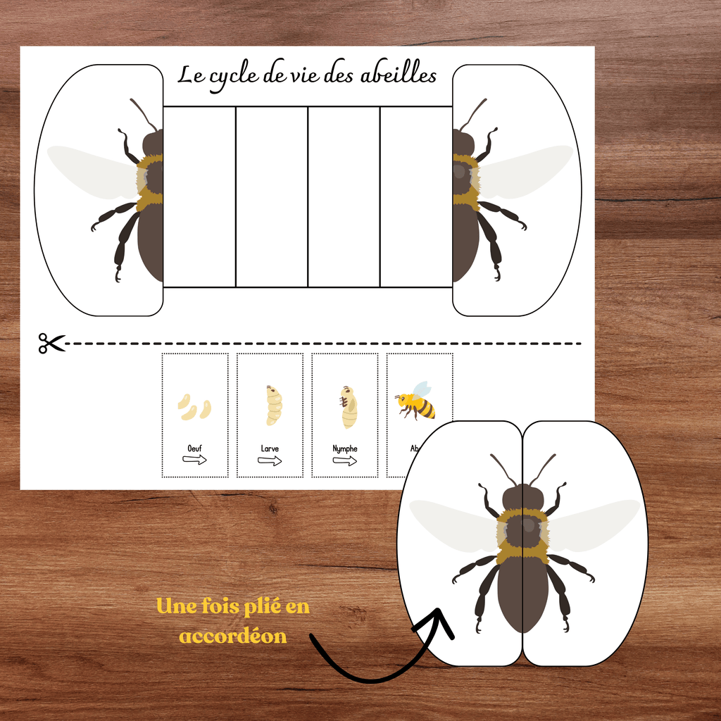 Bricolages schémas thème abeille