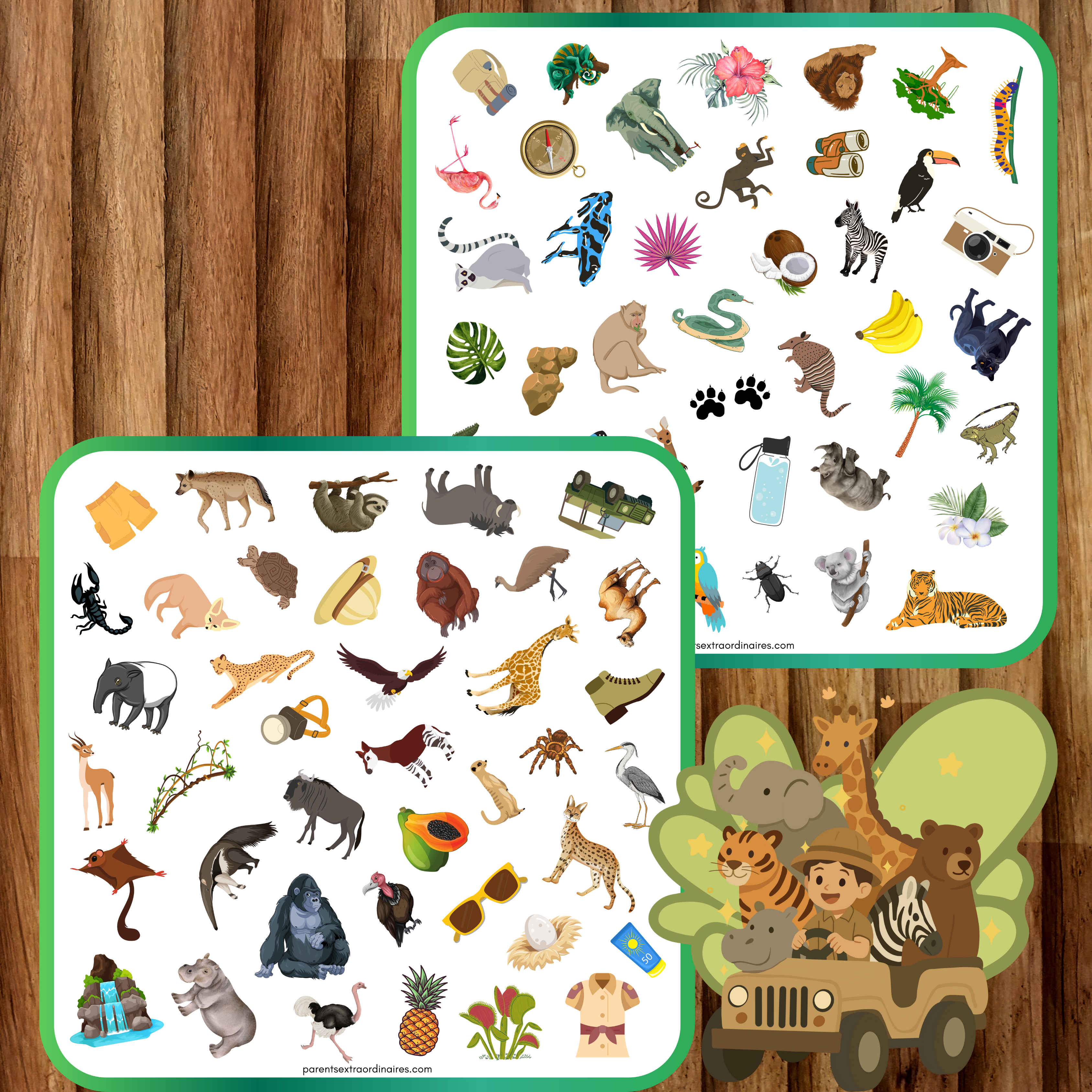 Cherche et trouve : thème safari