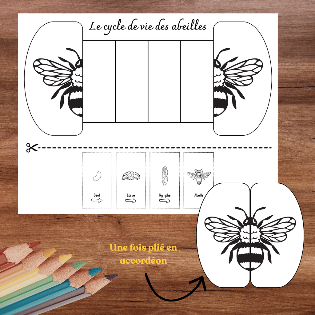 Bricolages schémas thème abeille