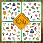 Cherche et trouve : thème safari