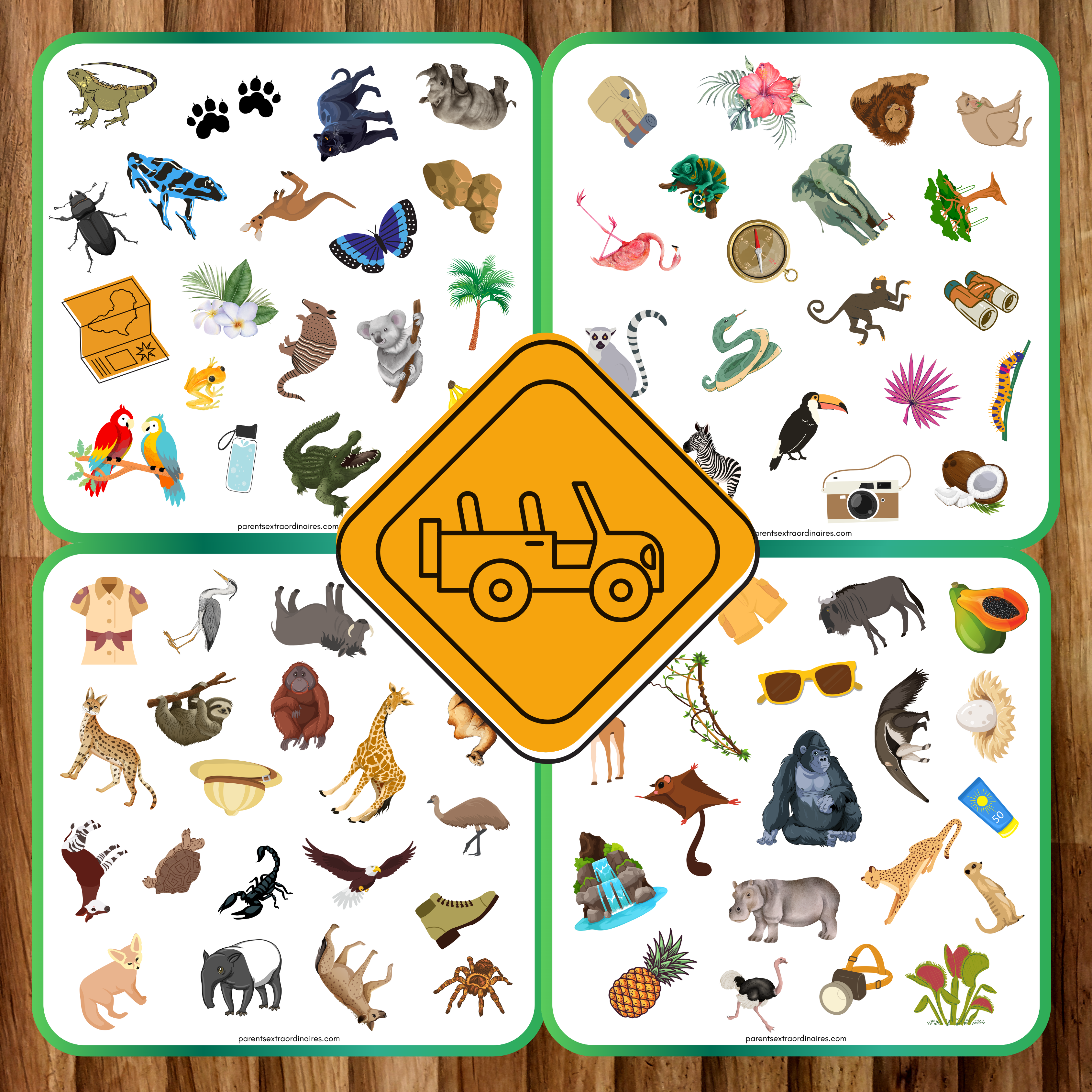 Cherche et trouve : thème safari