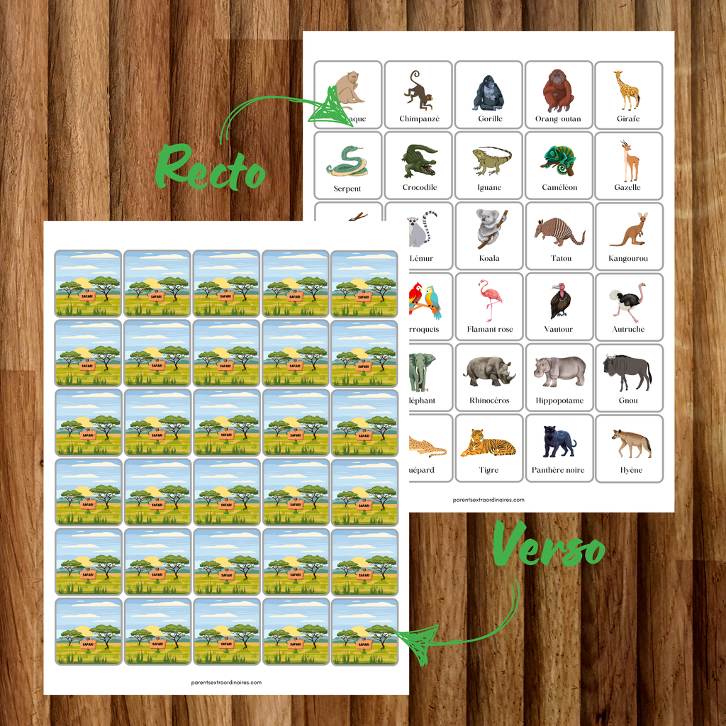 Cherche et trouve : thème safari