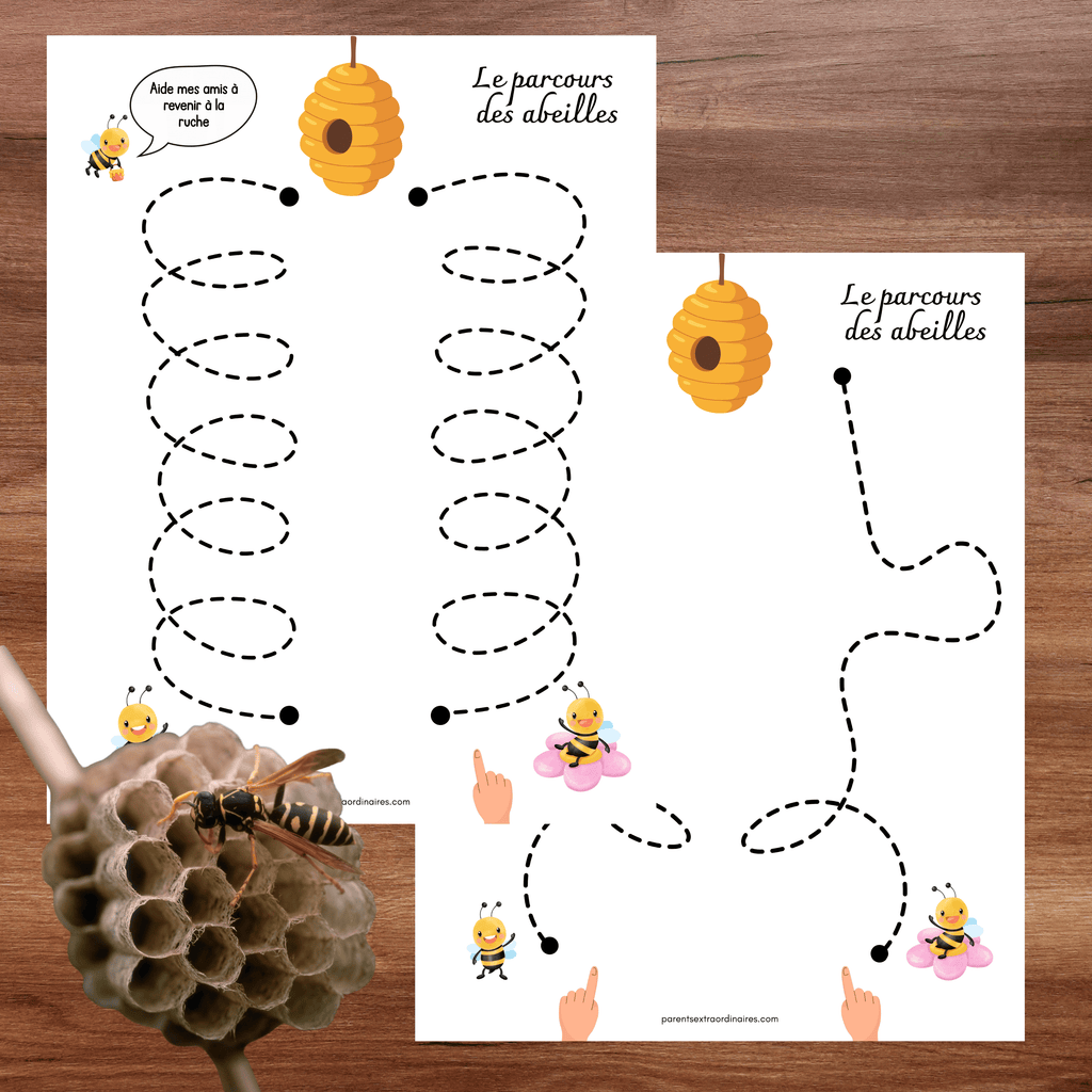 Activité le parcours des abeilles