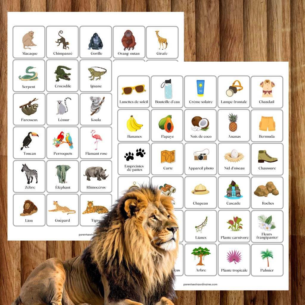 Cherche et trouve : thème safari