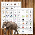 Cherche et trouve : thème safari