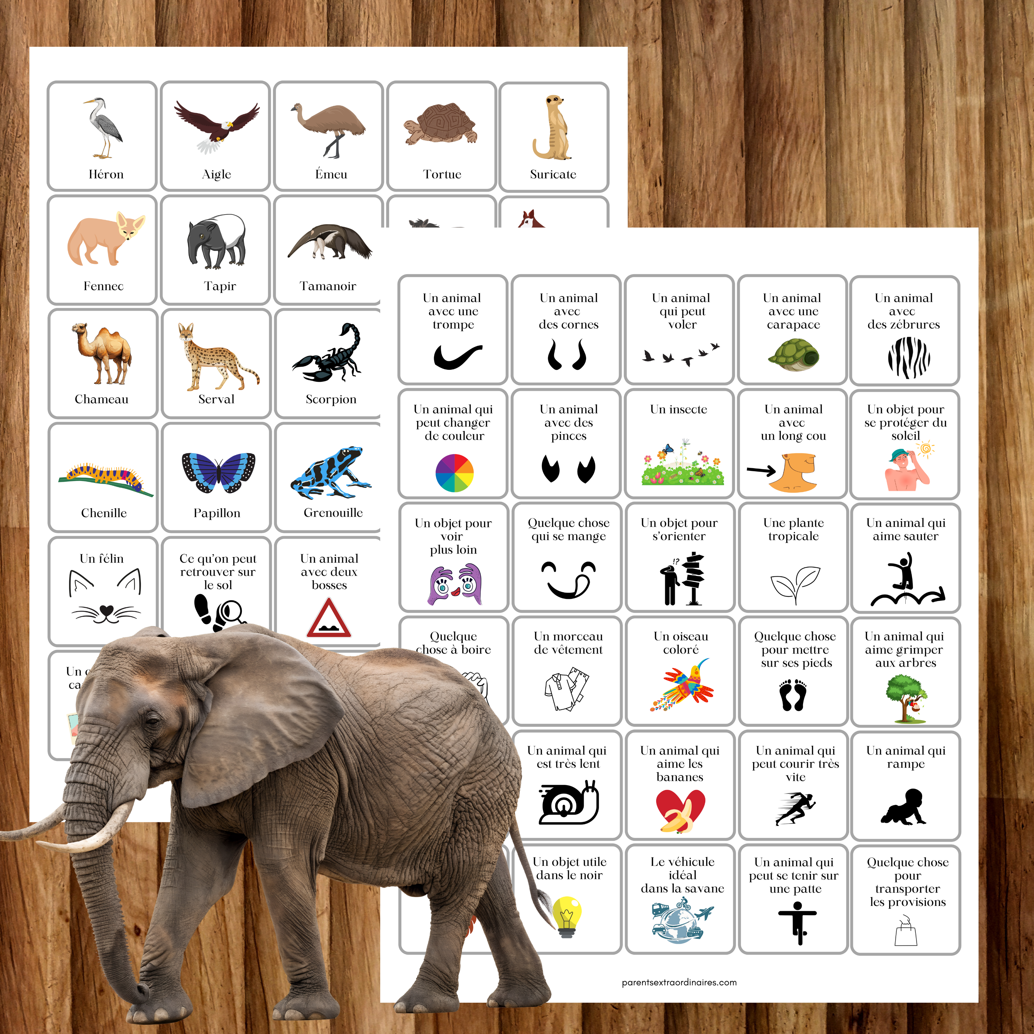 Cherche et trouve : thème safari