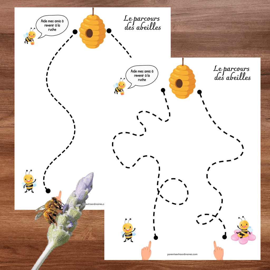 Activité le parcours des abeilles