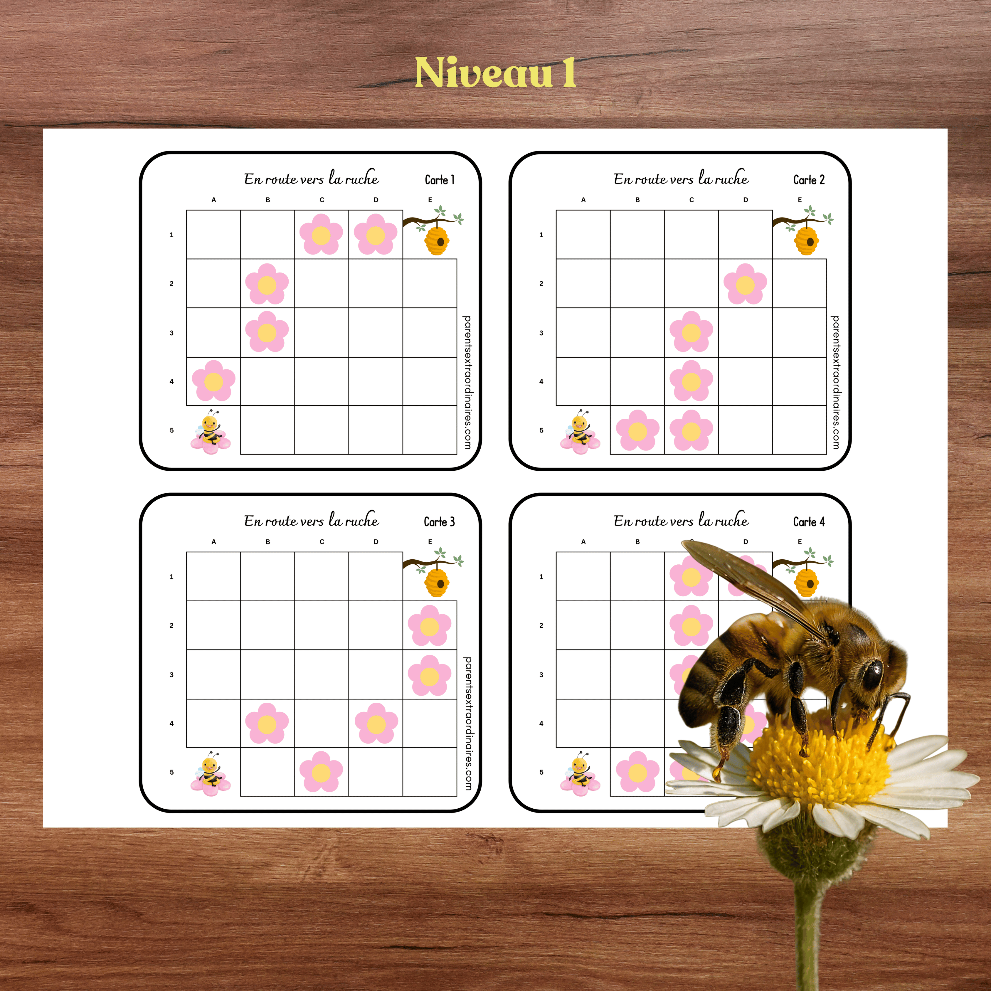 Activité en route vers la ruche