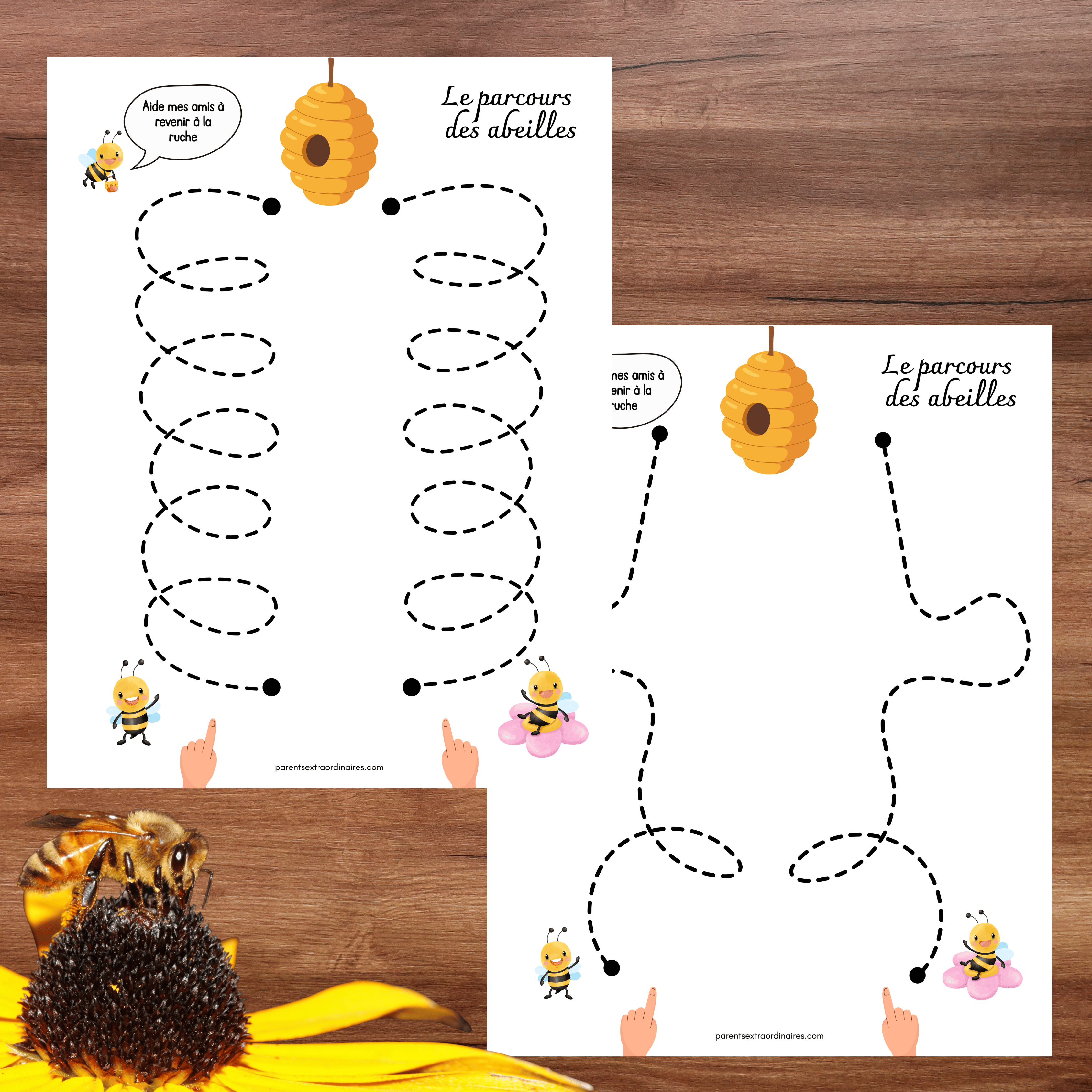 Ensemble d'activités thème abeilles