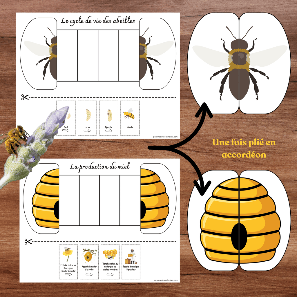Ensemble d'activités thème abeilles