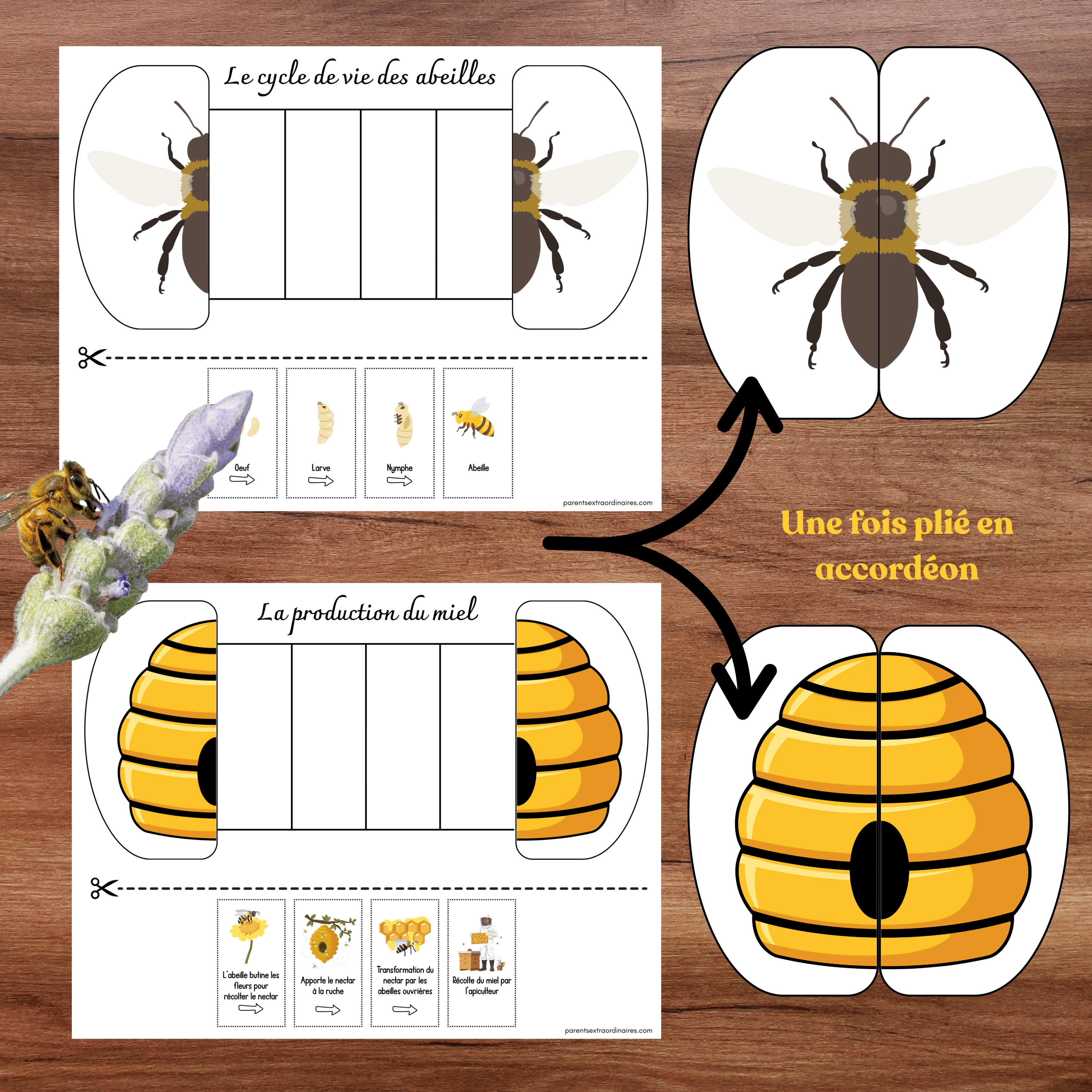 Ensemble d'activités thème abeilles