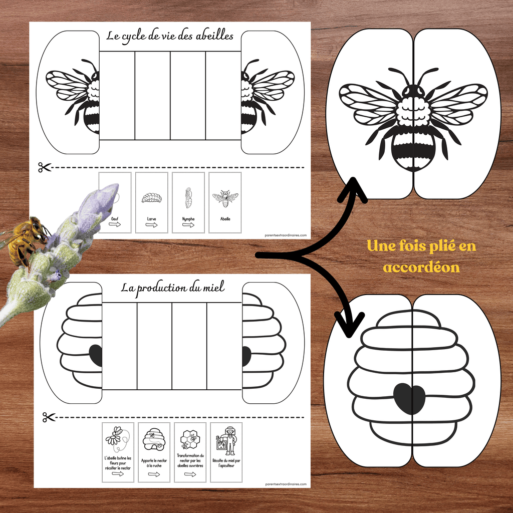 Ensemble d'activités thème abeilles