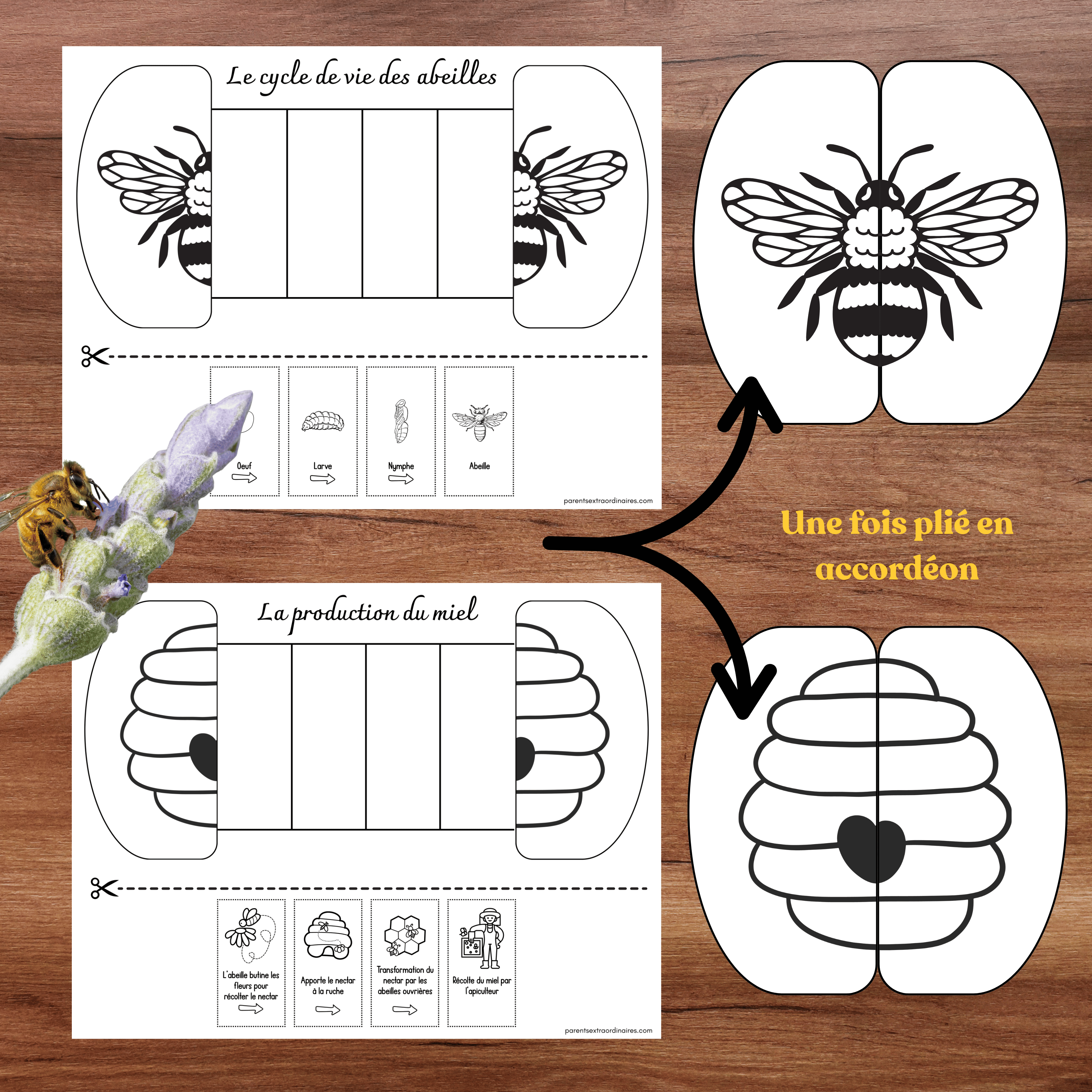 Ensemble d'activités thème abeilles