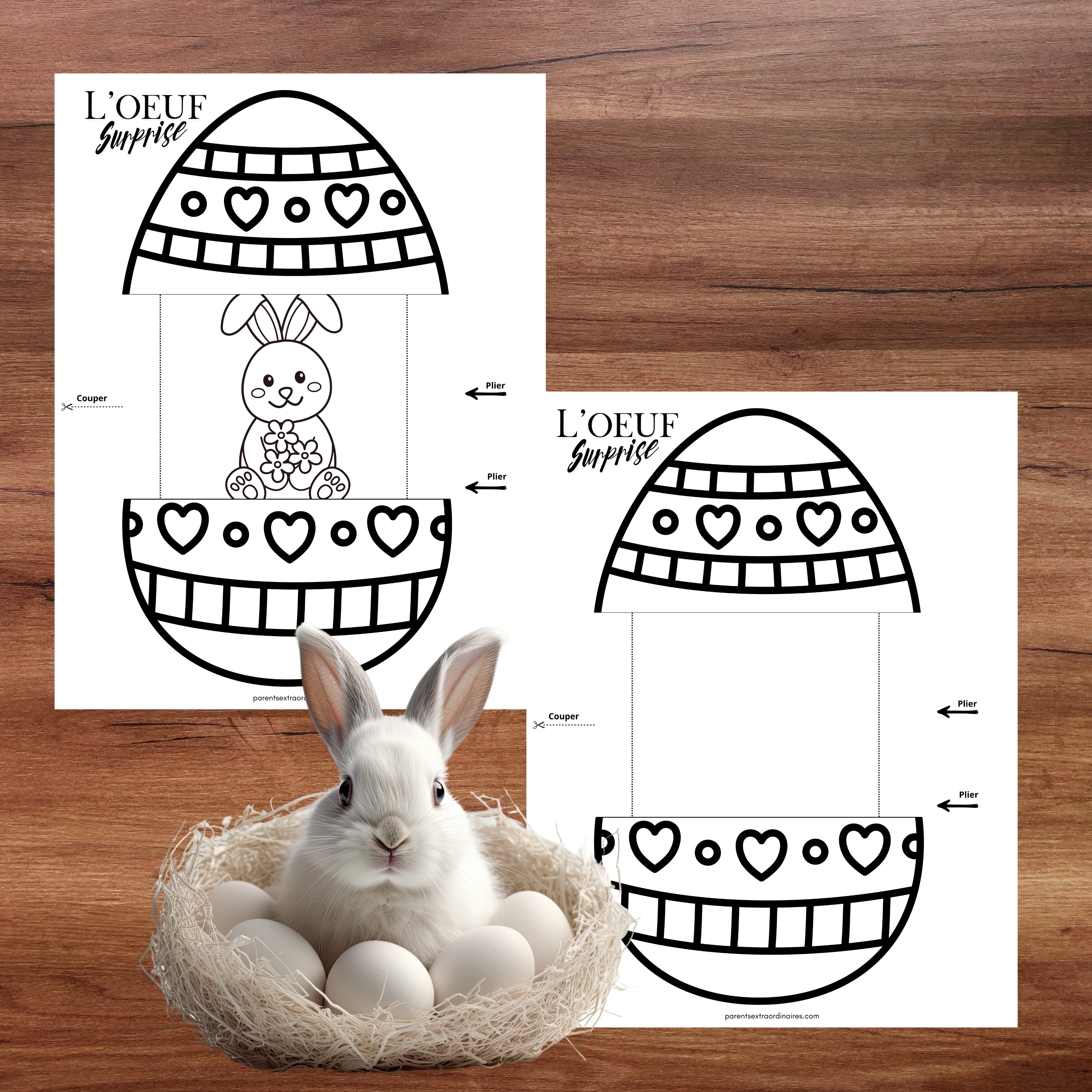 Bricolages l'oeuf surprise