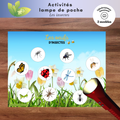 Activité lampe de poche : les insectes