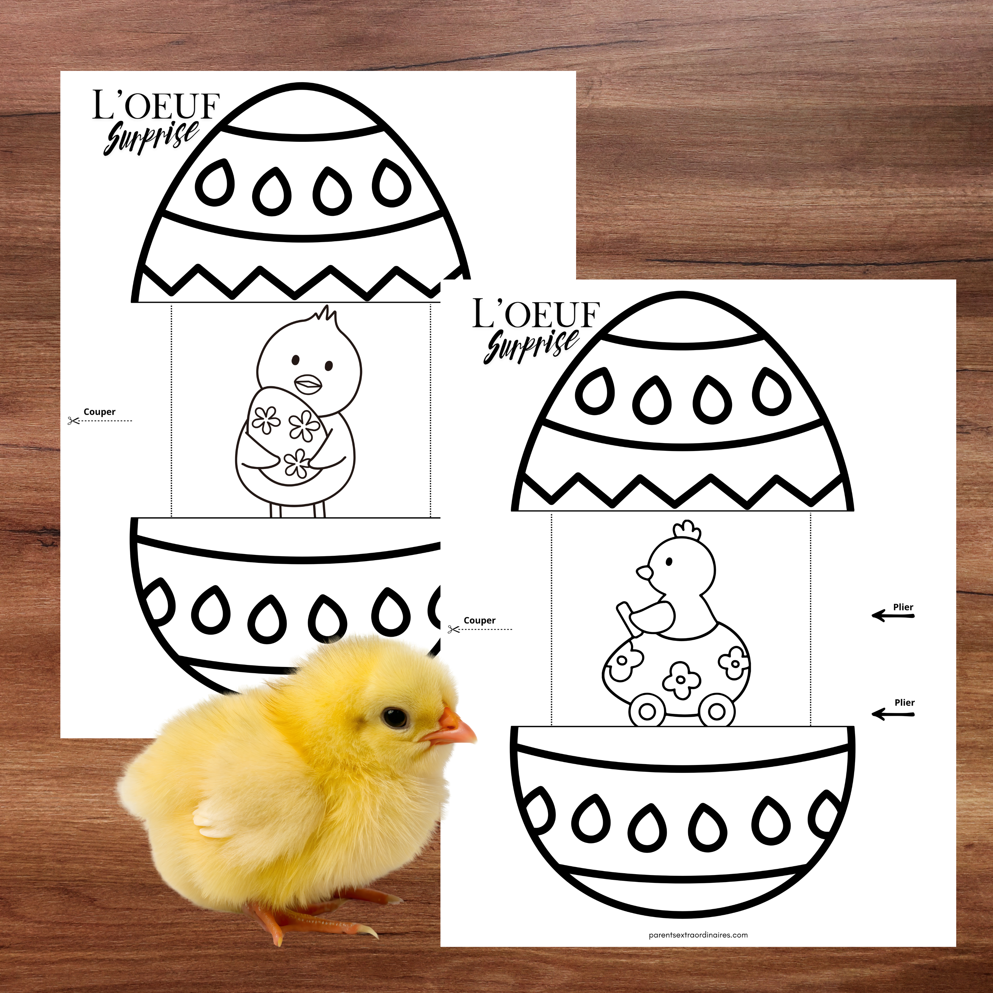 Bricolages l'oeuf surprise
