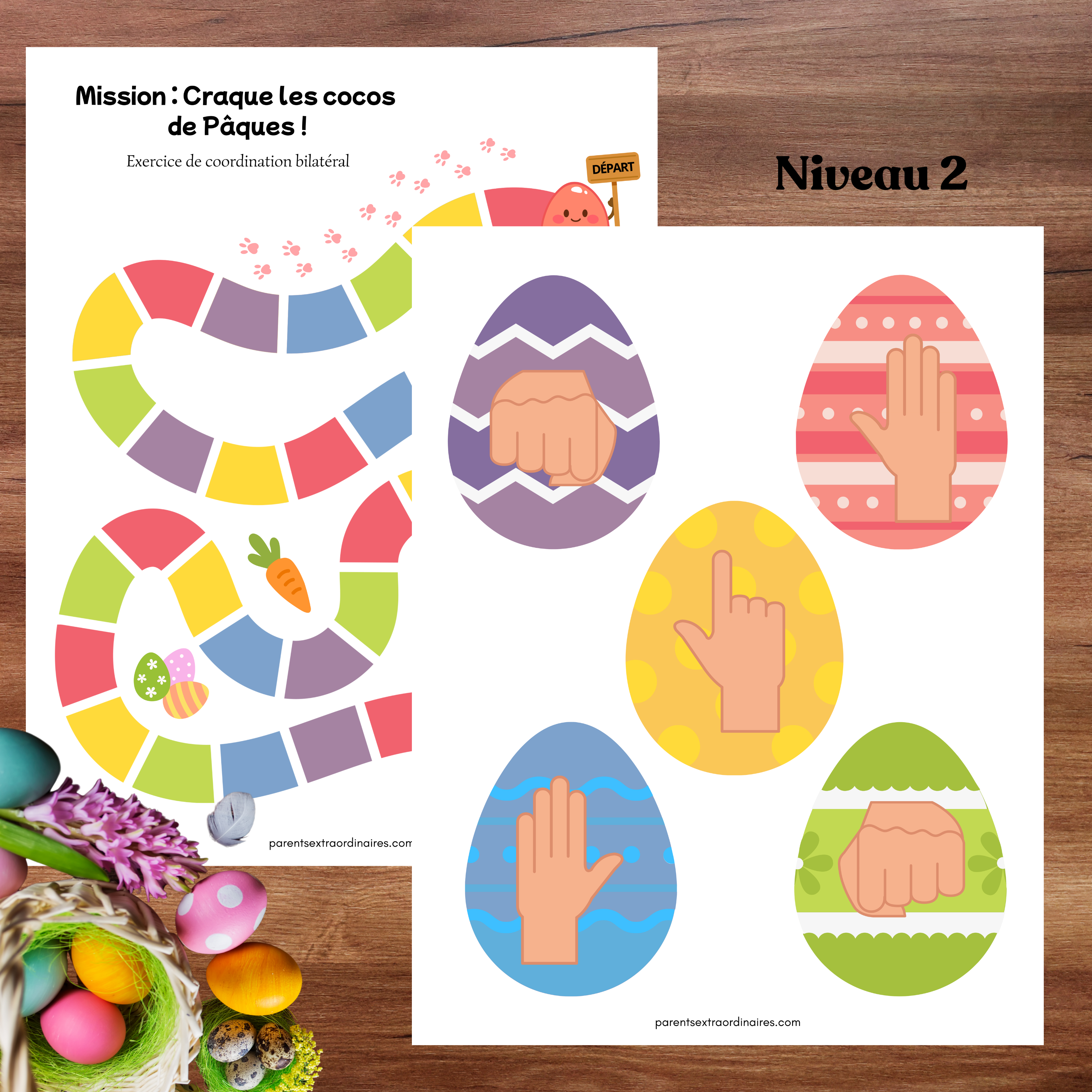 Activité coordination bilatéral de Pâques
