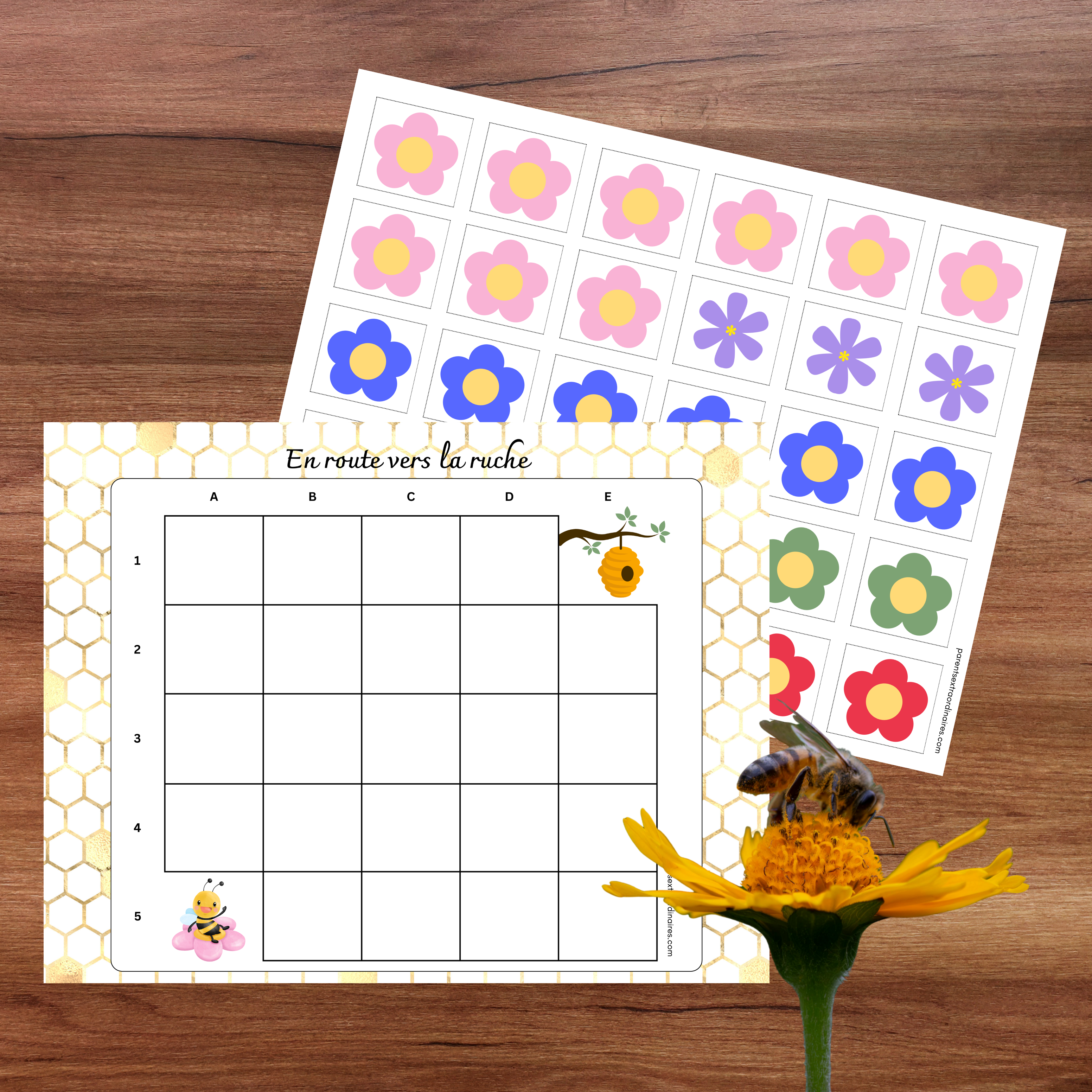 Ensemble d'activités thème abeilles