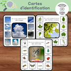 Cartes d'identification de la nature