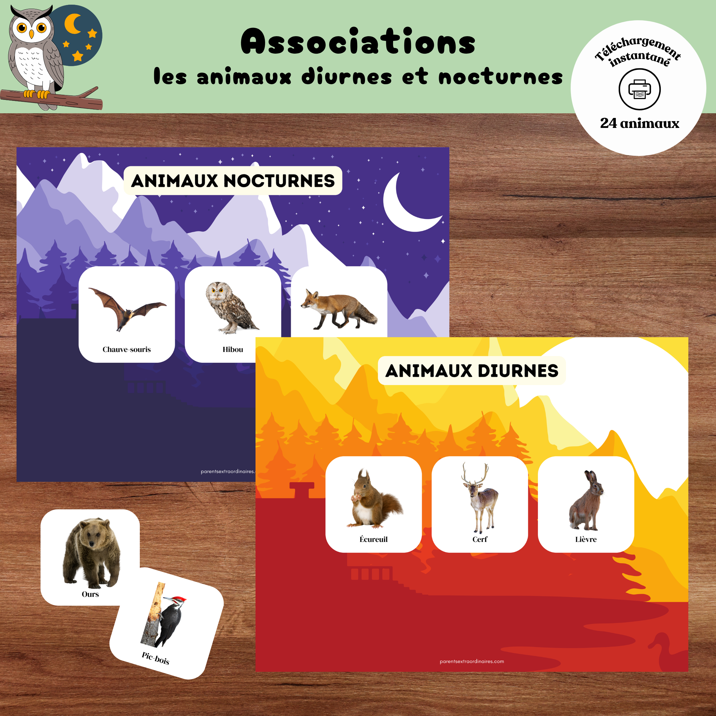 Activité éducative à imprimer pour classer les animaux diurnes et nocturnes.