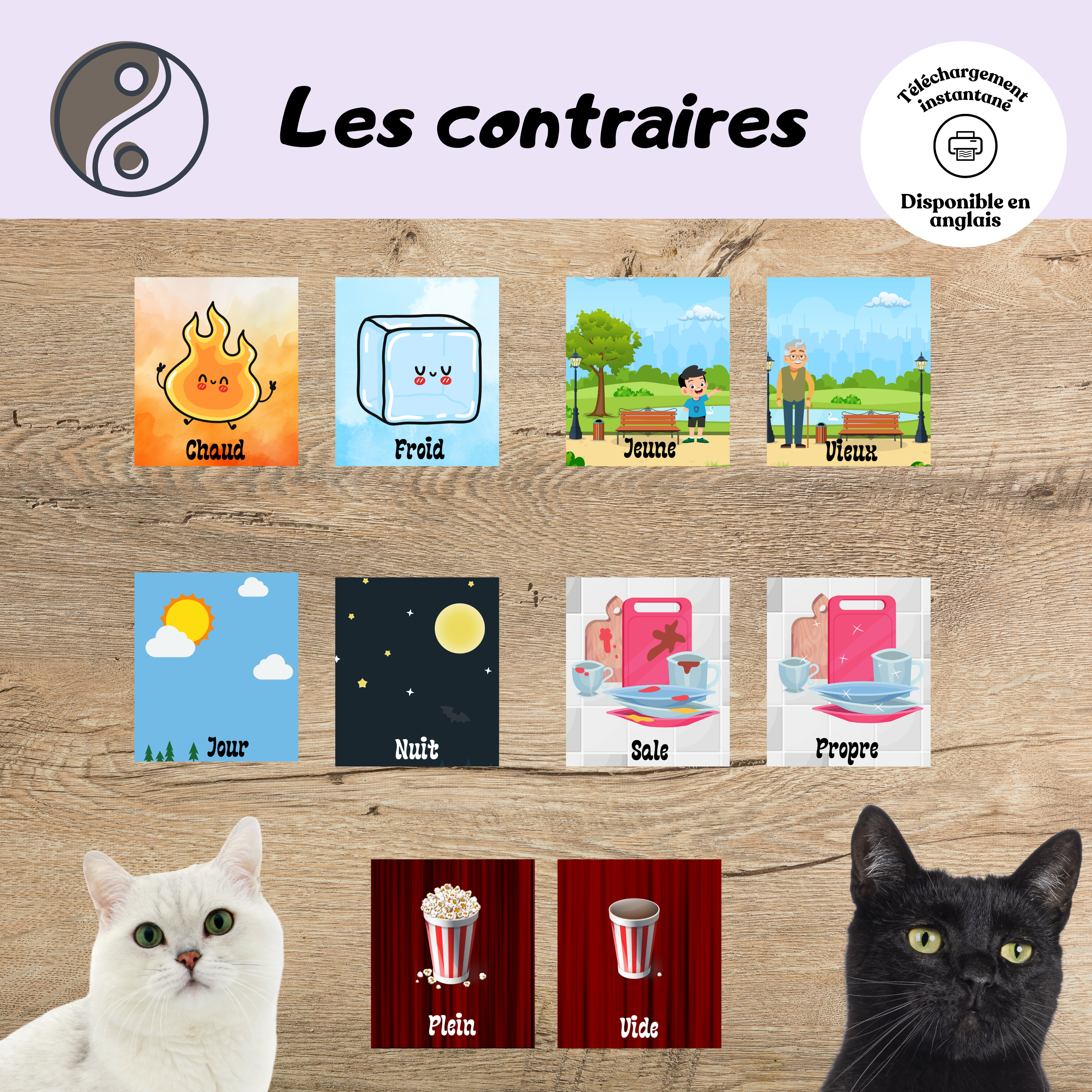 Ensemble de cartes éducatives sur les contraires comprenant 24 paires d’opposés à associer. Une activité ludique permettant aux enfants d’apprendre des notions comme grand et petit, plein et vide ou rapide et lent tout en développant leur vocabulaire et leur raisonnement logique.