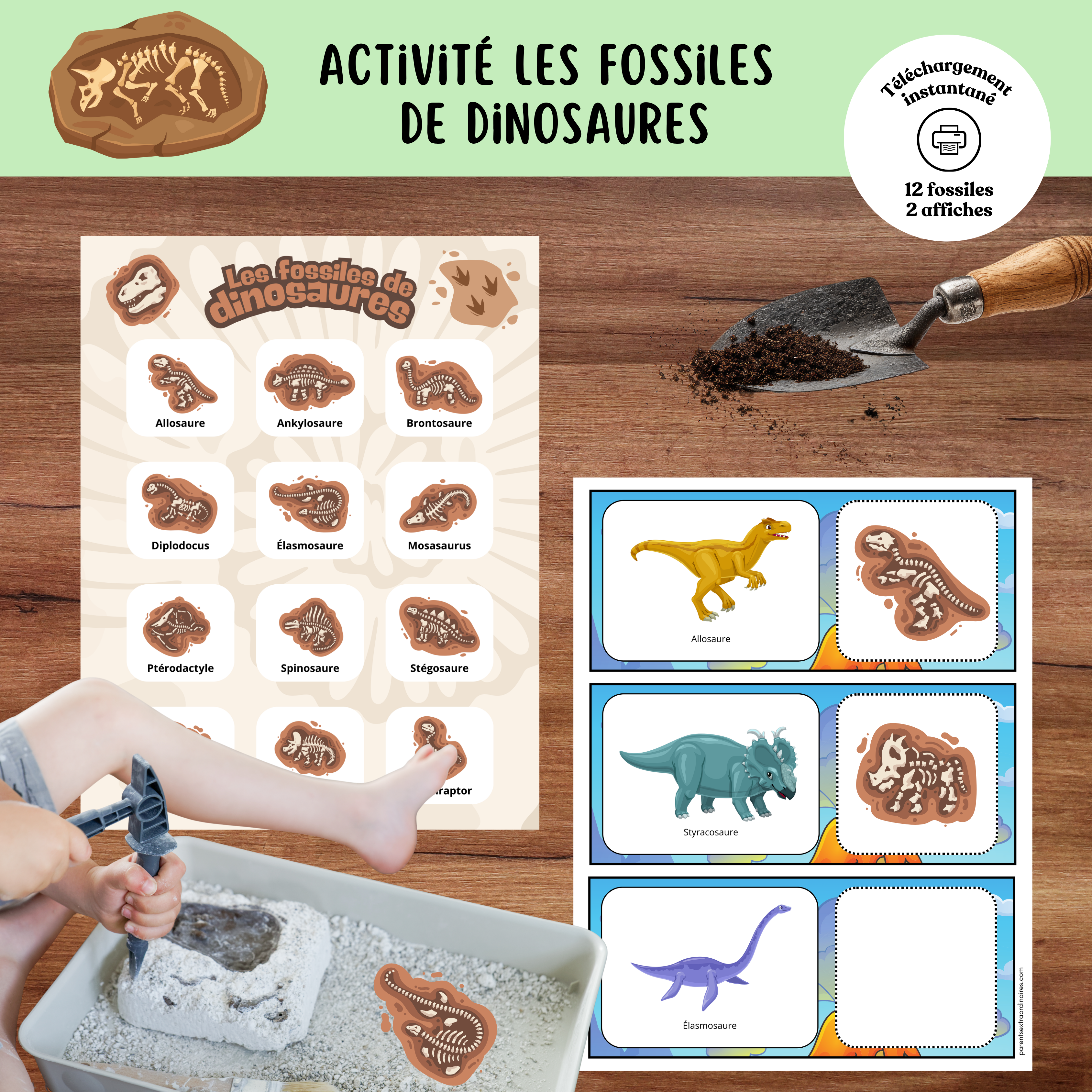 Activité fossiles de dinosaures à imprimer où les enfants retrouvent des fossiles cachés et les associent au bon dinosaure.