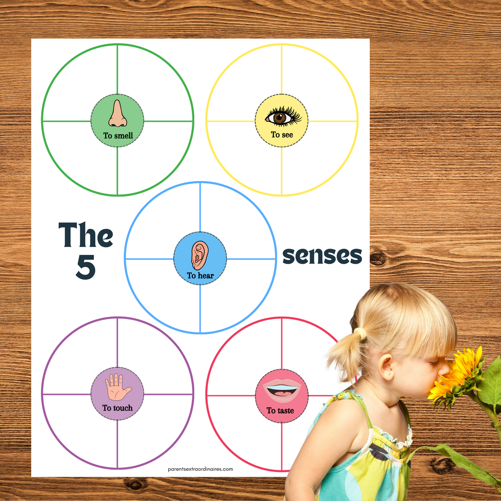 Activité imprimable sur les 5 sens pour aider les enfants à découvrir la vue, l’ouïe, l’odorat, le goût et le toucher. Une ressource éducative idéale pour le préscolaire et la maternelle qui développe l’observation, le vocabulaire et la compréhension du corps humain.