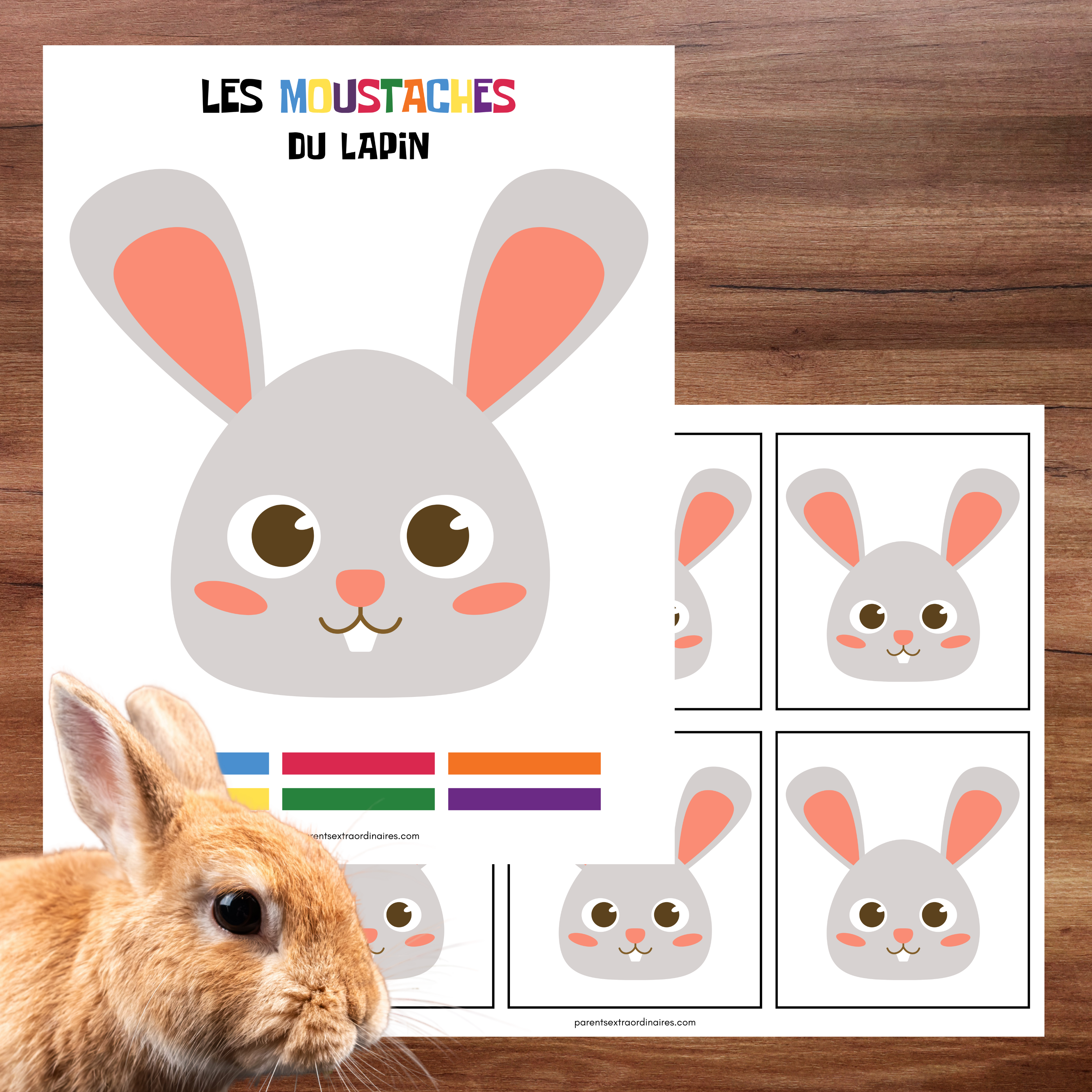 Jeu éducatif de reproduction de modèle où les enfants positionnent les moustaches du lapin en respectant les couleurs.