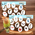 Activité éducative interactive avec des œufs mystères à éclairer pour révéler des oiseaux cachés. Les enfants découpent, assemblent et associent les œufs aux bonnes images tout en apprenant les animaux qui pondent des œufs, en développant leur logique et leurs habiletés d’observation.