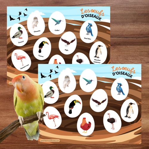 Activité éducative interactive avec des œufs mystères à éclairer pour révéler des oiseaux cachés. Les enfants découpent, assemblent et associent les œufs aux bonnes images tout en apprenant les animaux qui pondent des œufs, en développant leur logique et leurs habiletés d’observation.